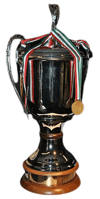Nemzeti Bajnokság Kupa